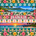 Hawaii Striped