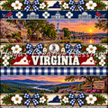 Virginia Striped
